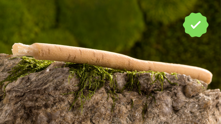 Using Miswak Is Rewarding