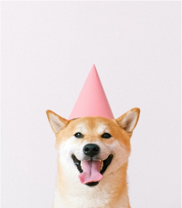 Birthday Gallery Img 2